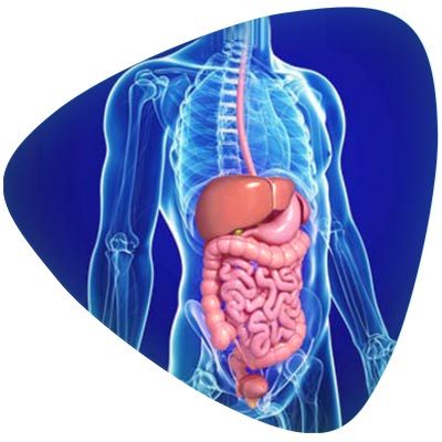 Gastrointestinal and Hepatobiliary System